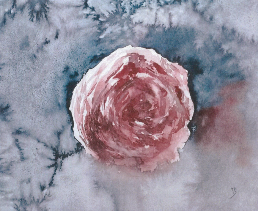 Expo... Allons voir si la rose